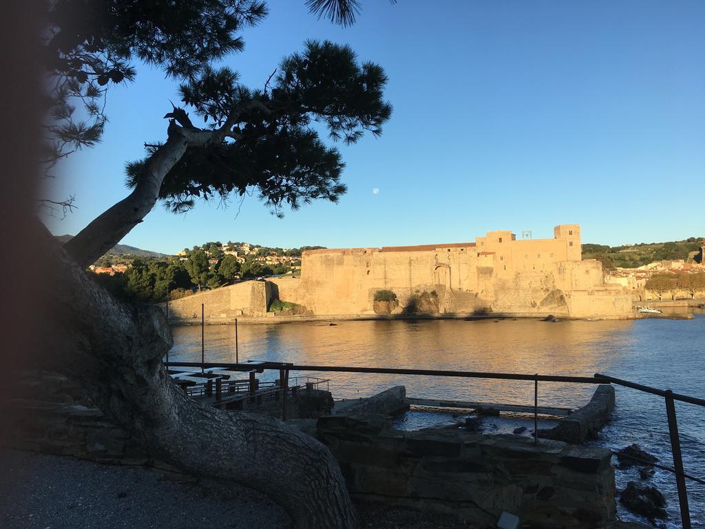 Un Balcon Sur La Mer Port Vendres Dış mekan fotoğraf